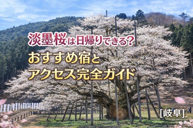 淡墨桜は日帰りできる？おすすめ宿