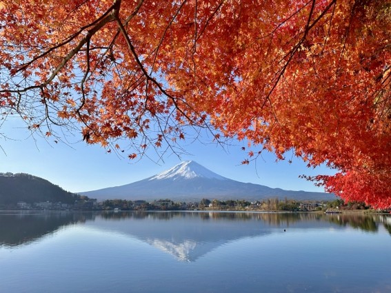 富士山と河口湖 紅葉シーズン
