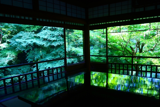 瑠璃光院　青もみじ リフレクション光景