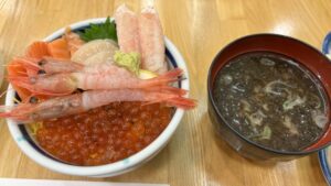 函館朝市海鮮丼