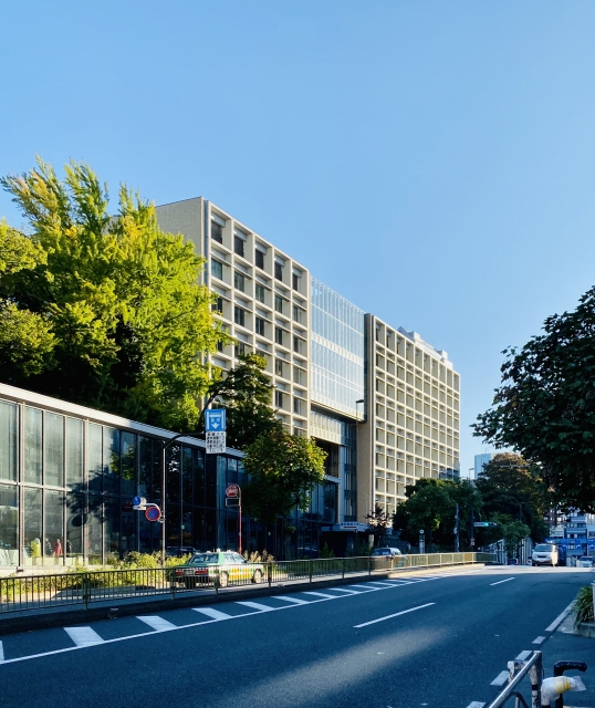東京都慶應通りの朝