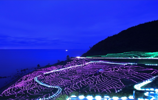 白米千枚田 畔のイルミネーション